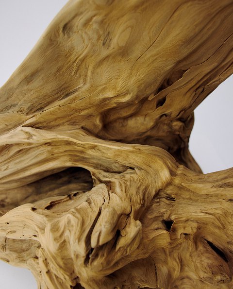 MIOGI LI — driftwood texture, close-up