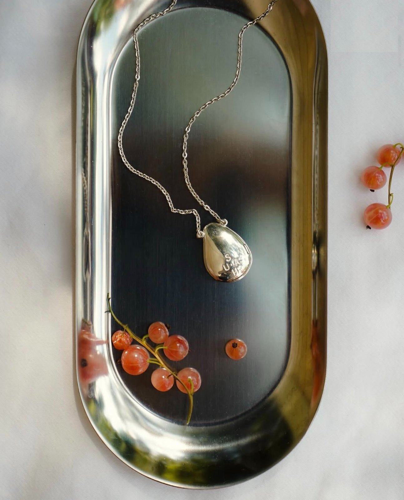 SHU SHA — drop pendant on a chain, steel tray with pink currants